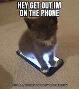 Image result for Cat Phone Lost Meme