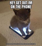 Image result for Cat Phone Stand Meme