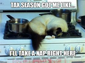 Image result for Cat Tax Meme
