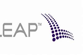 Image result for Leap Wireless