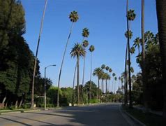 Image result for Beverly Hills California weather