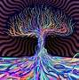 Image result for Trippy Night Sky