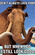 Image result for Ice Age Stare Meme