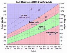 Image result for Adult Male BMI Chart