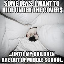 Image result for Meme Get Under the Covers