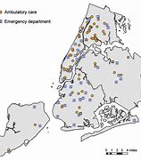 Image result for New York H1N1 Cases
