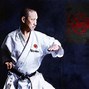 Image result for Karate Vector Art Background