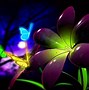 Image result for Nice Cool Wallpaper For
