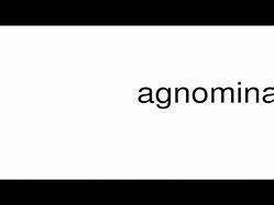 Image result for agnominaci�b