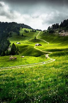 Swiss Alp Grassland | Scenery, Landscape, Nature