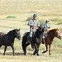 Image result for Mongolian Animals