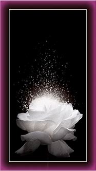 Image result for Rose Wallpaper Cloge iPhone