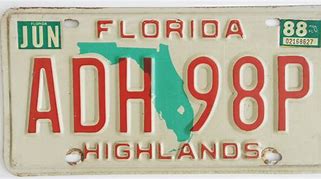 Image result for Florida License Plates Texture