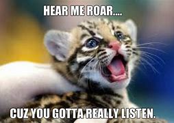 Image result for Baby Tiger Meme