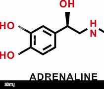 Image result for adrenal8na