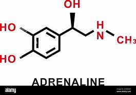 Image result for adrenalkna