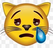 Image result for Crying Cat Meme Emoji