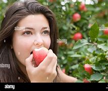 Image result for Red Apple On the Tablw