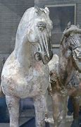 Image result for Chinese Horse Breeds