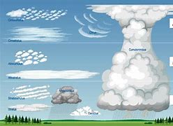 Image result for Different Types of Cumulus Clouds