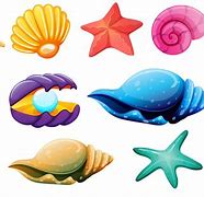 Image result for Shell Vector Graphic