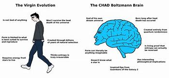 Image result for Boltzmann Brain Theory