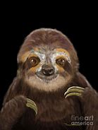 Image result for Sloth Digital Art