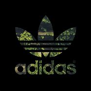 Image result for Adidas Images