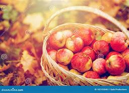 Image result for Fall Apple Basket