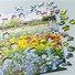 Image result for Fine Art Jigsaw Puzzles