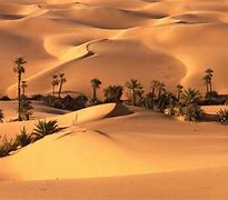 Image result for Sahara Desert Computer Wallpaper