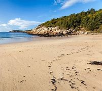 Image result for What Does a Beach Look Like