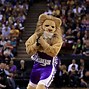 Image result for State NBA Fans