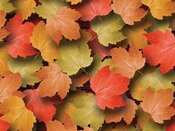 Image result for Autumn Leaves Paper