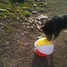 Image result for Rubberizing Beach Ball