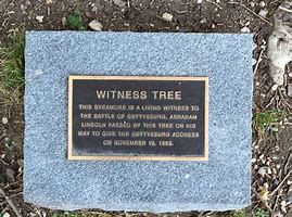 Image result for Witness Tree Viognier