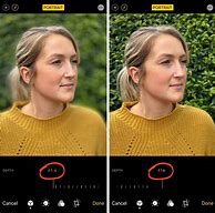 Image result for Colors in Portrait Mode