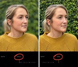 Image result for iPhone Pro Max 15 Portrait