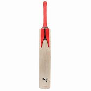 Image result for Puma Ashes 5 Cricket Bat Kashmir Willow