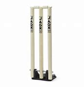 Image result for Spring Back Wickets