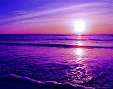 Image result for Purple Ocean