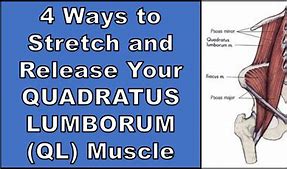 Image result for QL Muscle Pain Symptoms