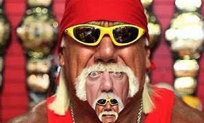 Image result for Hulk Hogan You're Welcome Meme