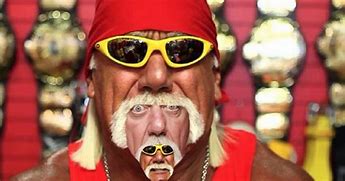 Image result for Hulk Hogan WWE Memes Funny