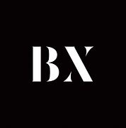 Image result for BX Logo