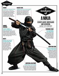 Image result for Ninja ArmorSuit