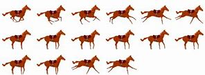 Image result for Horse Run