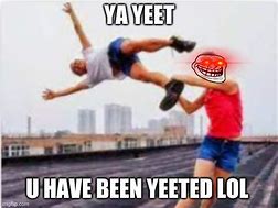 Image result for Yeet Cat Meme