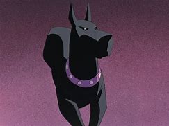 Image result for Bruce Wayne Dog