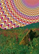 Image result for Trippy Nature Art